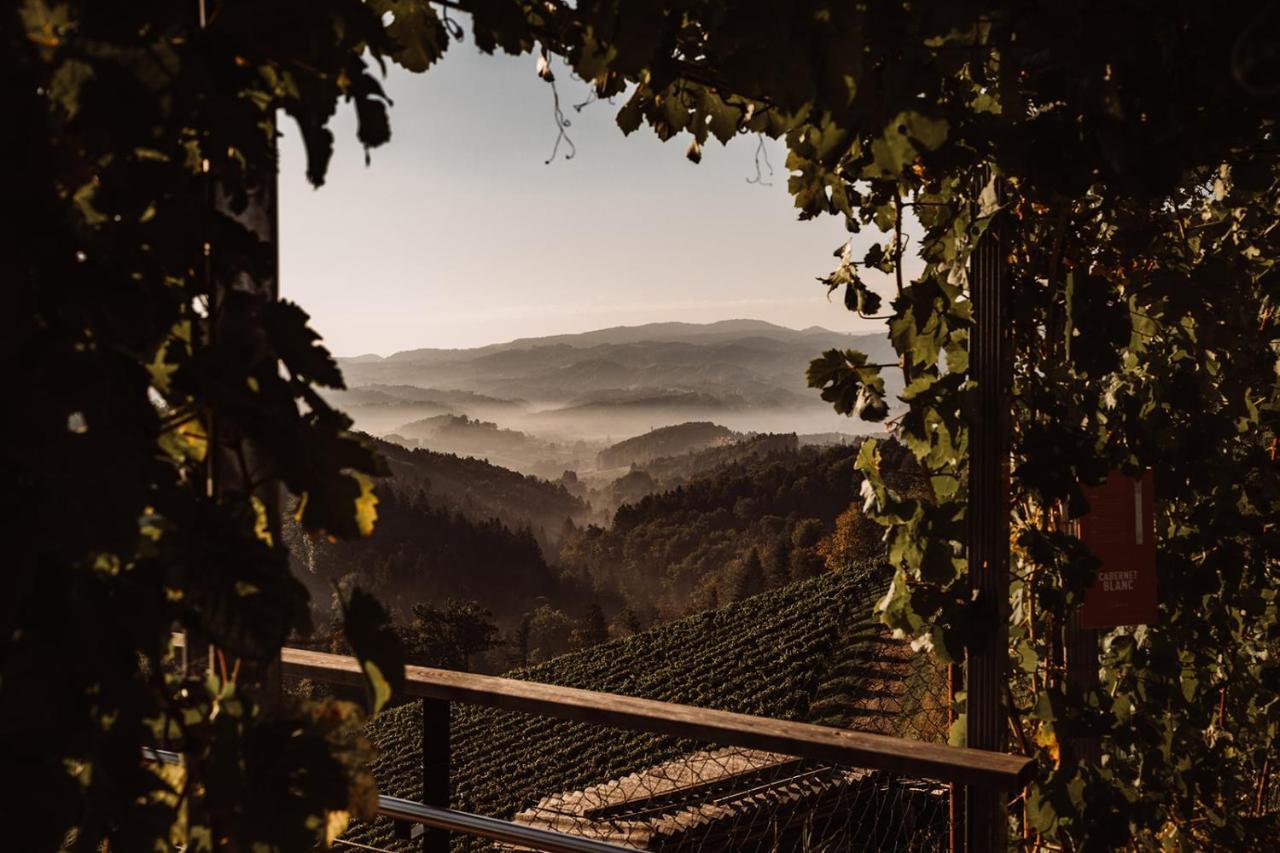فيلا Weingut Kollerhof Am Eichberg ليوتسشاخ المظهر الخارجي الصورة