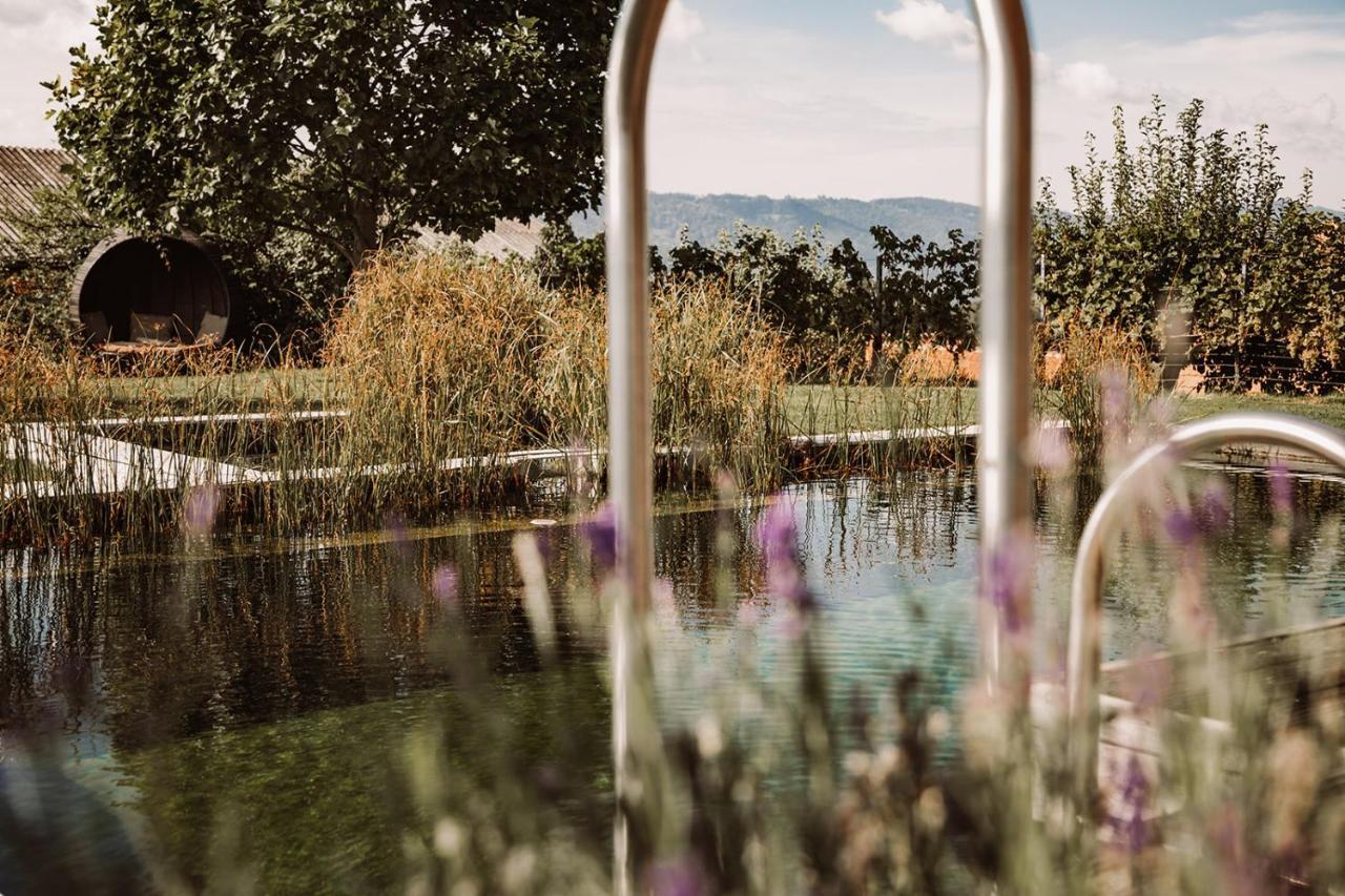 فيلا Weingut Kollerhof Am Eichberg ليوتسشاخ المظهر الخارجي الصورة