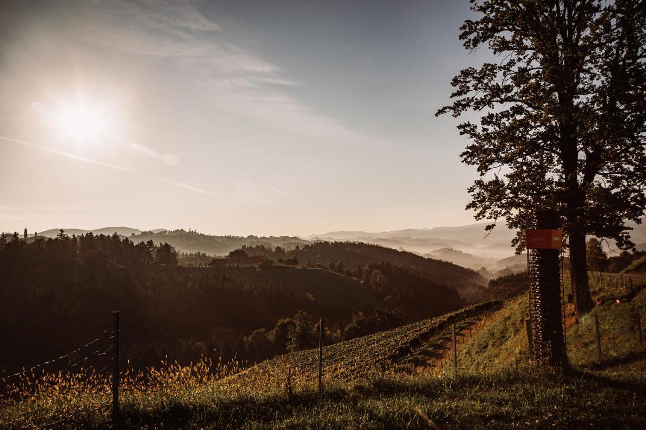 فيلا Weingut Kollerhof Am Eichberg ليوتسشاخ المظهر الخارجي الصورة