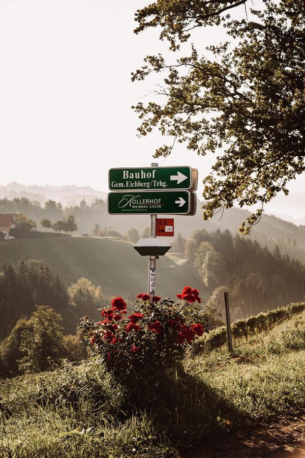 فيلا Weingut Kollerhof Am Eichberg ليوتسشاخ المظهر الخارجي الصورة