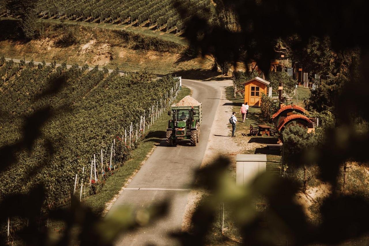 فيلا Weingut Kollerhof Am Eichberg ليوتسشاخ المظهر الخارجي الصورة