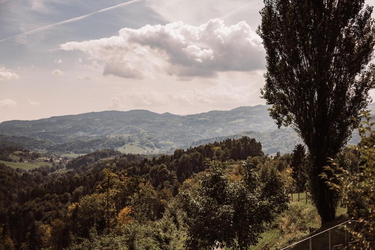فيلا Weingut Kollerhof Am Eichberg ليوتسشاخ المظهر الخارجي الصورة